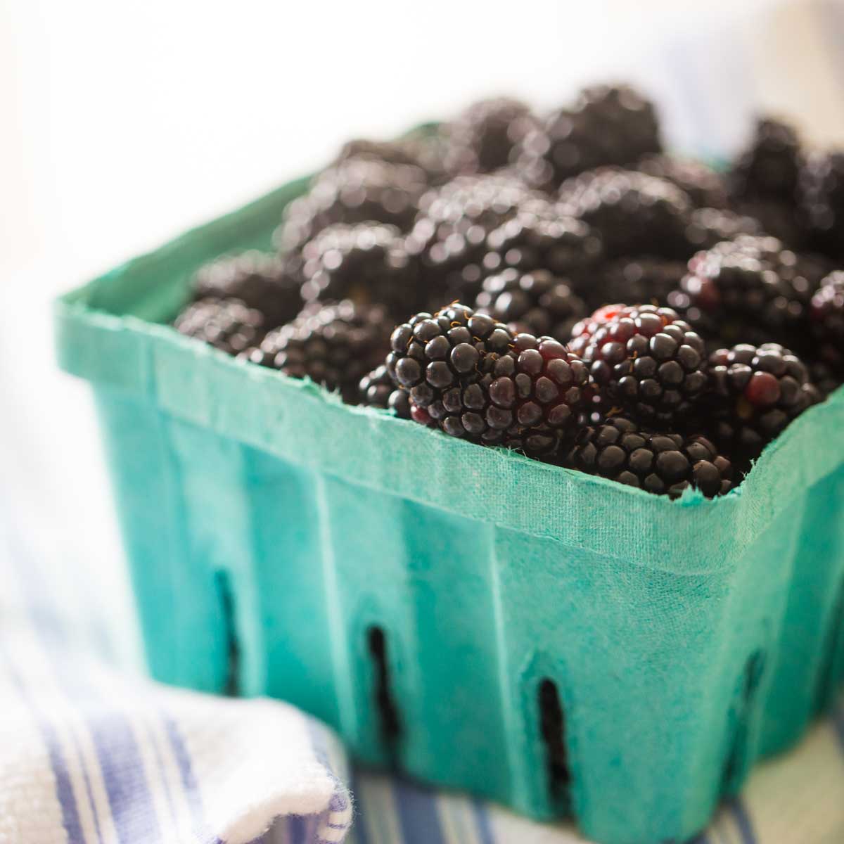 A blue farmer's market container is filled with fresh blackberries.