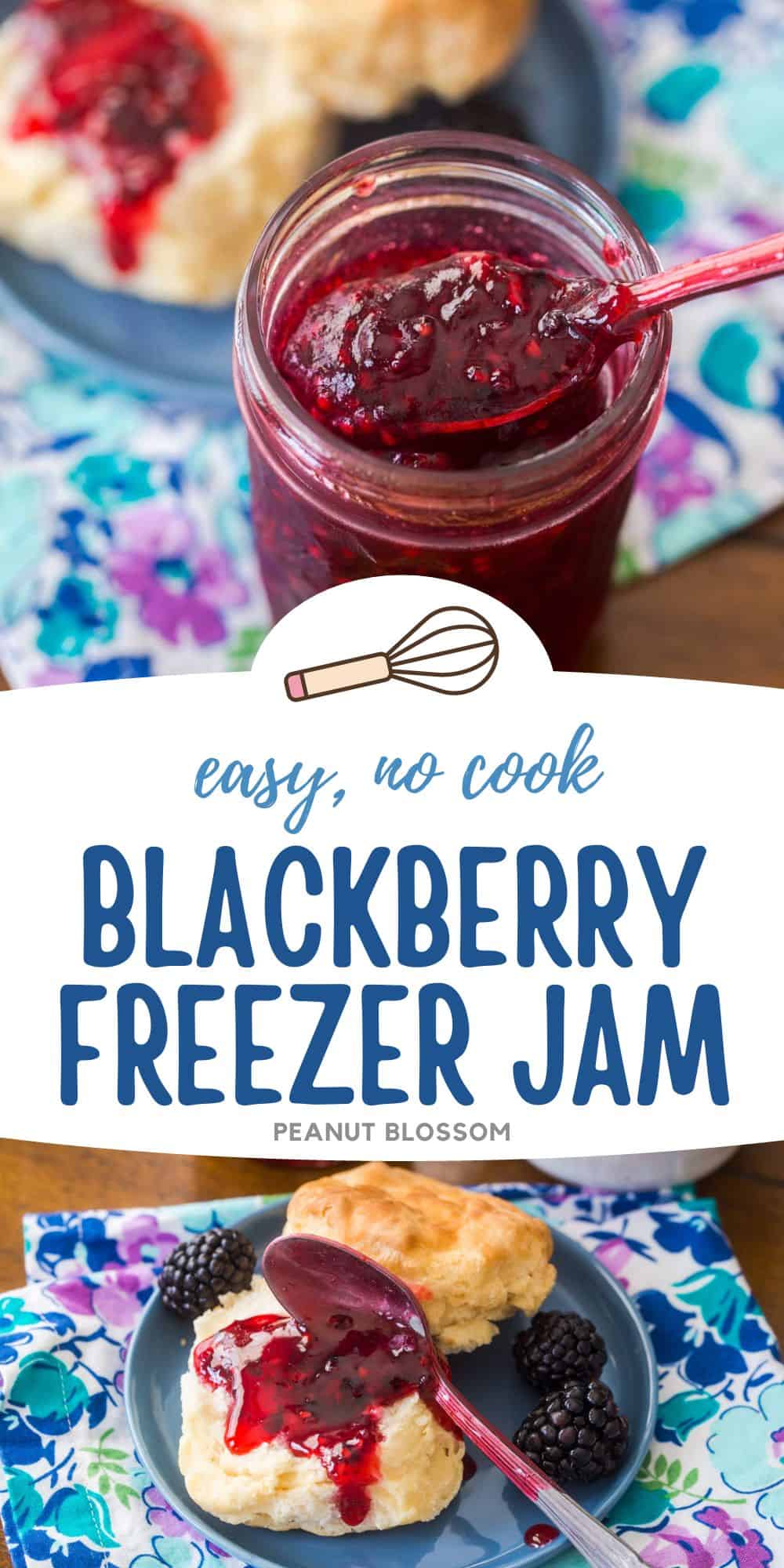 Easy No-Cook Any Berry Freezer Jam – Recipe and Instructions - Gardening