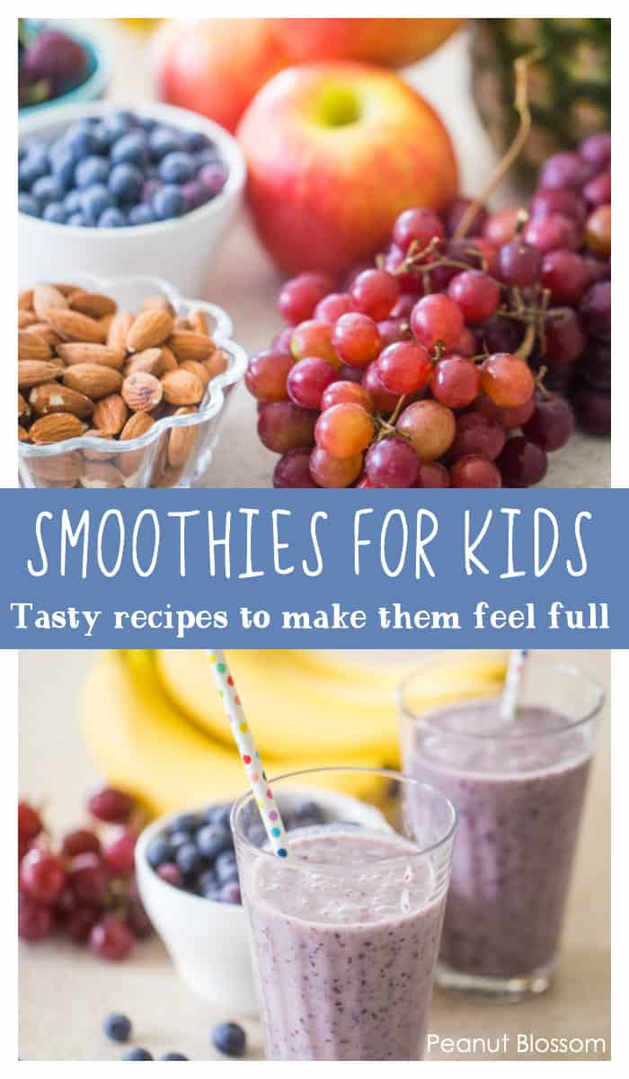 Kids Protein Shake Recipe  Protein Shake Recipes for Kids