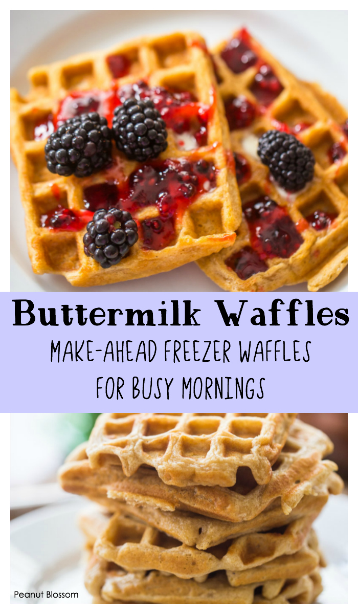 This easy buttermilk waffles recipe is perfect for making a big double batch of batter and making your own homemade freezer waffles for busy mornings.