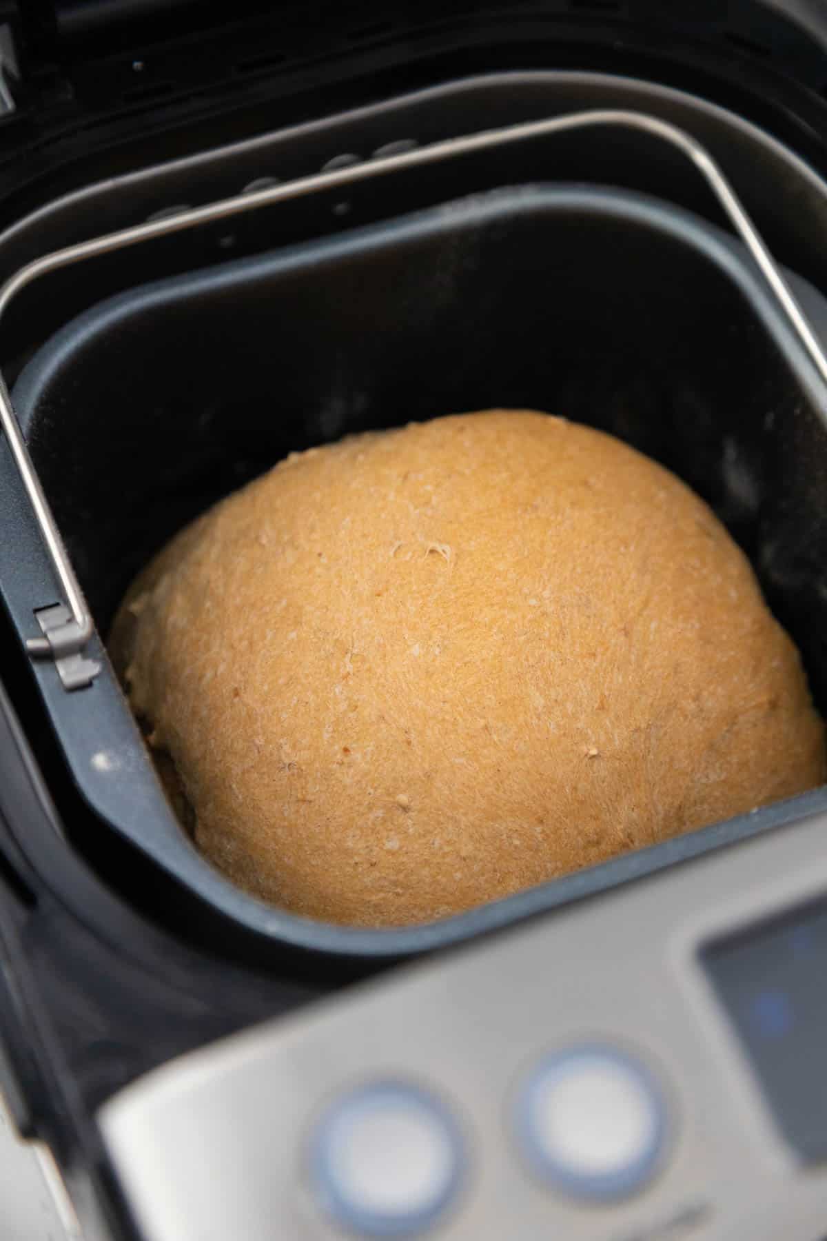 The baked apple bread is still in the bread machine.