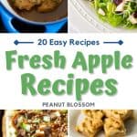 The photo collage shows 4 apple recipes including pork in applesauce, an apple salad, a taffy apple pizza, and apple crumble bars.