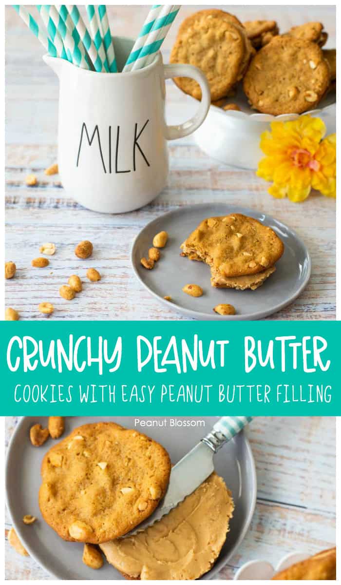 Crunch peanut butter cookies with easy peanut butter filling are fun to bake with kids.