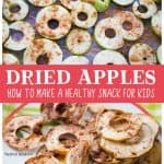 A sheet pan of apple rings is drying in the oven.