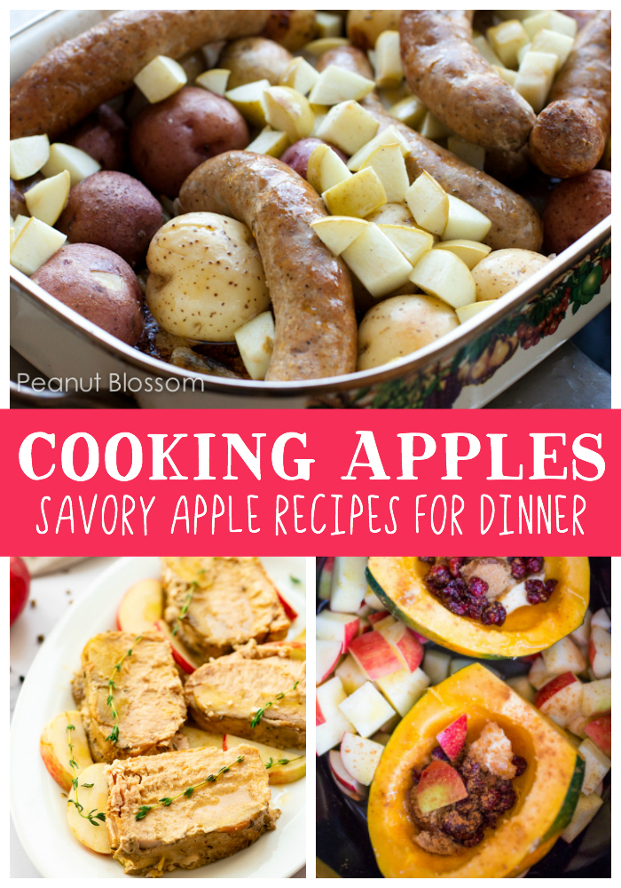 Easy apple recipes for dinner, savory ideas for feeding your family with fresh fall produce.