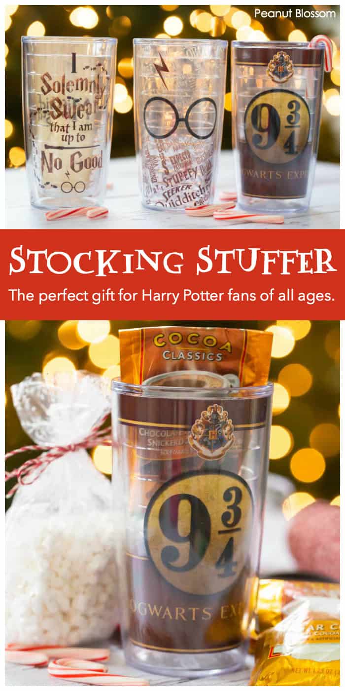 The perfect gift idea for Harry Potter fans: Give them a hot cocoa kit tucked inside a brand new Harry Potter Tervis cup.