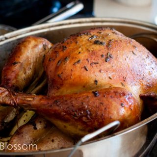 Herb Butter Turkey