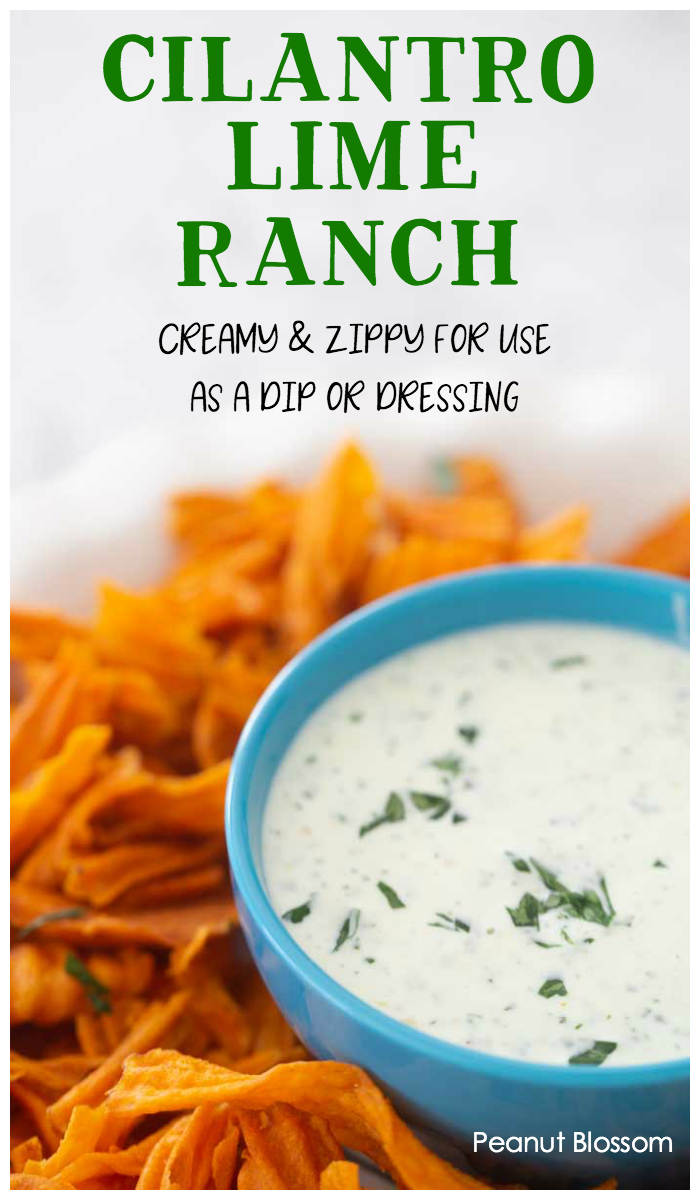 Cilantro lime ranch dressing makes an amazing chip dip for sweet potato chips.
