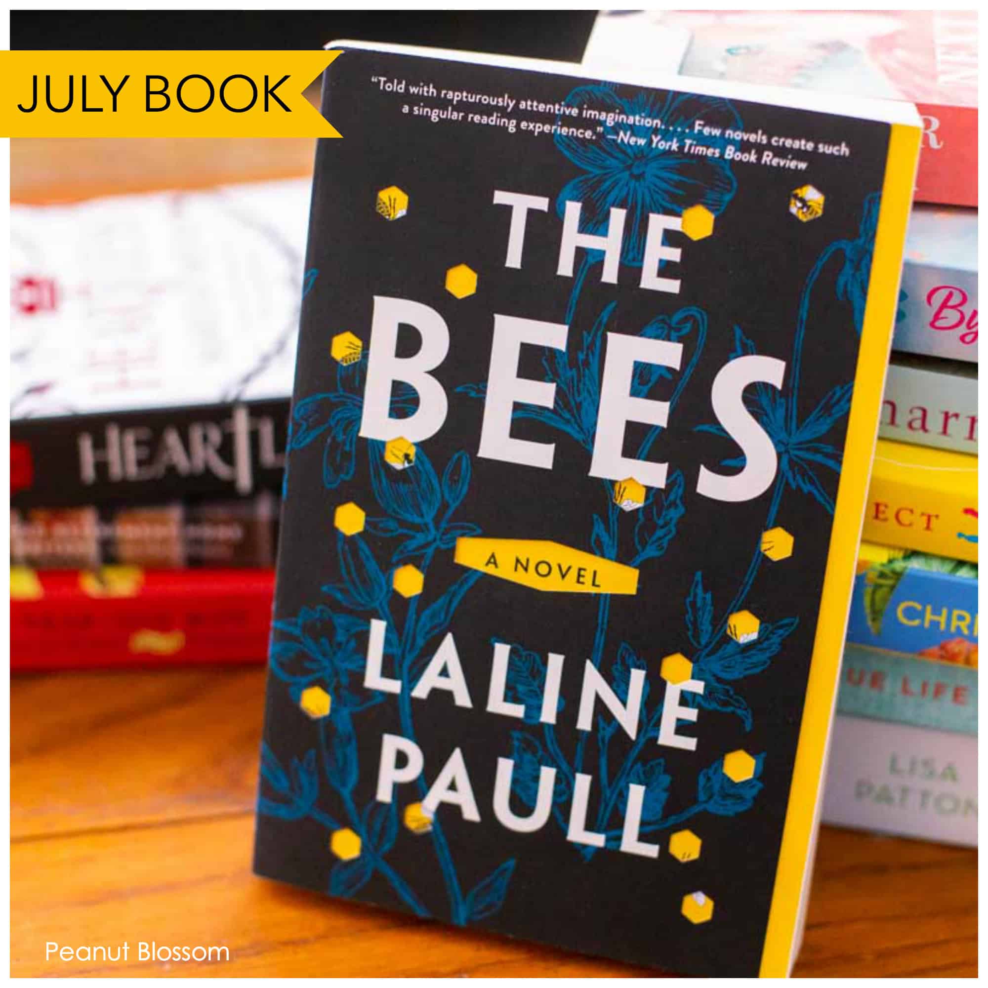 the secret life of bees book club questions