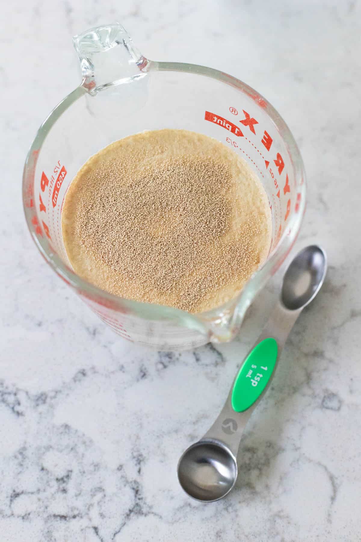 The yeast has been measured into a cup of warm water.