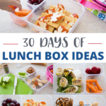 30 School Lunch Ideas for Kids - Peanut Blossom