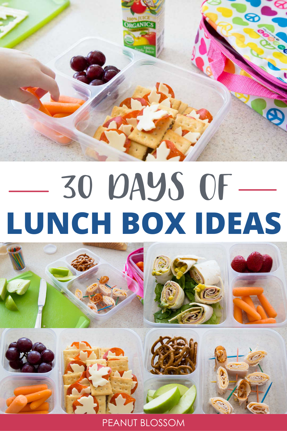 30 School Lunch Ideas for Kids - Peanut Blossom