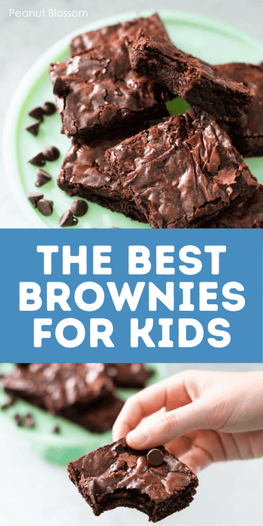 The Best Homemade Brownies for Kids Peanut Blossom