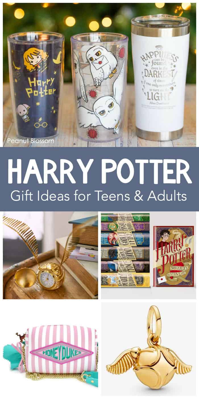 15 Harry Potter Gift Ideas for Teens - Peanut Blossom