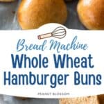The hamburger buns are fresh from the oven and a deep golden brown color.