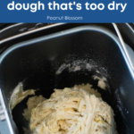 Bread Maker Tips: How to fix pizza dough that's too dry. Shows the dough rough and shaggy instead of smooth.