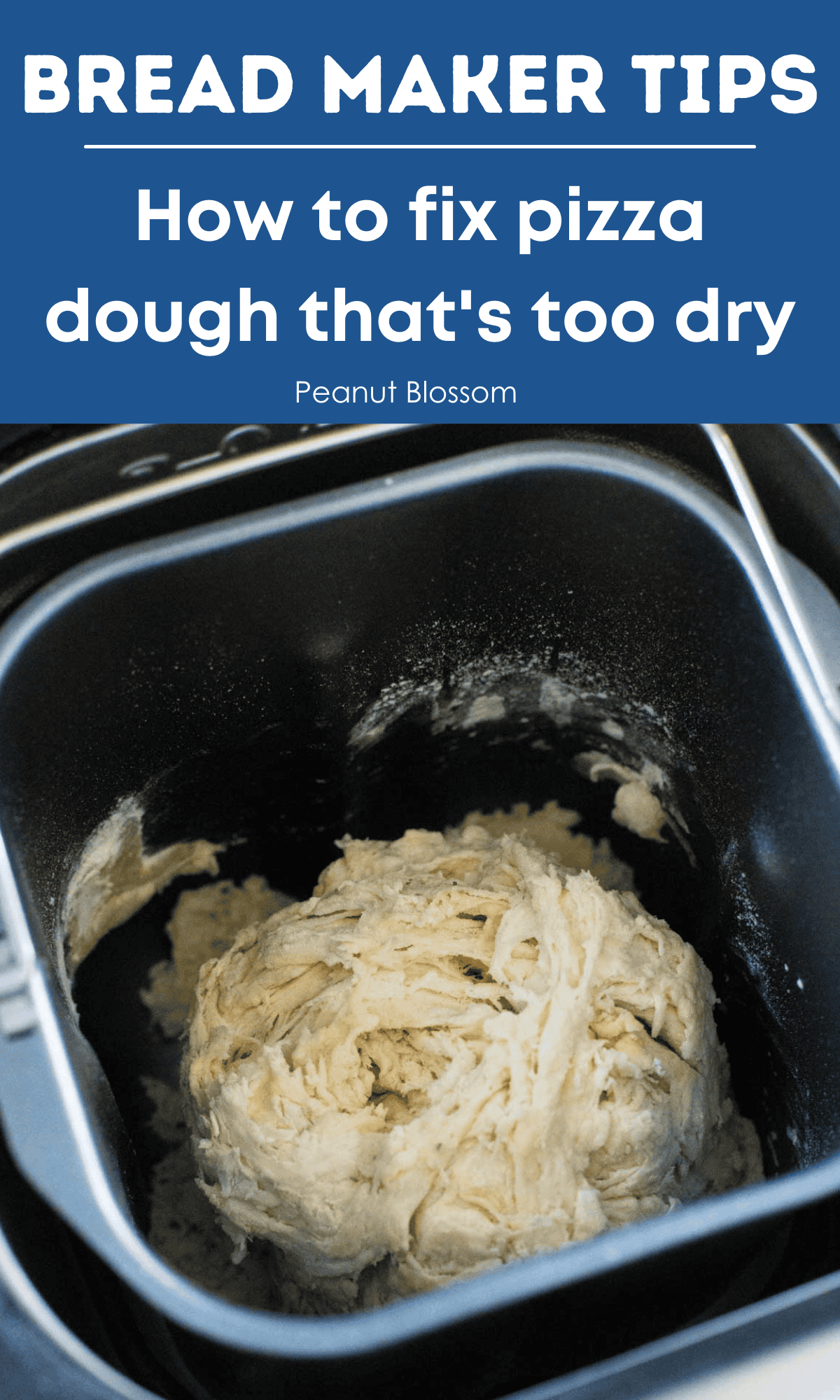 Bread Maker Pizza Dough Peanut Blossom