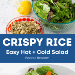 A graphic shows the ingredients for the crispy rice salad on top and the finished salad below.