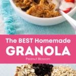 The bowl of granola with fresh berries and yogurt.