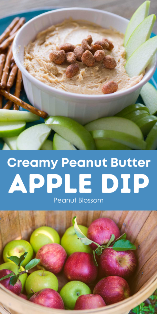 Creamy peanut butter apple dip with apples and pretzels on top, an apple picking basket full of apples on bottom.