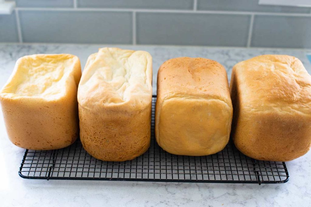 4 loaves of Italian bread lined up to show the differences between bread machines.