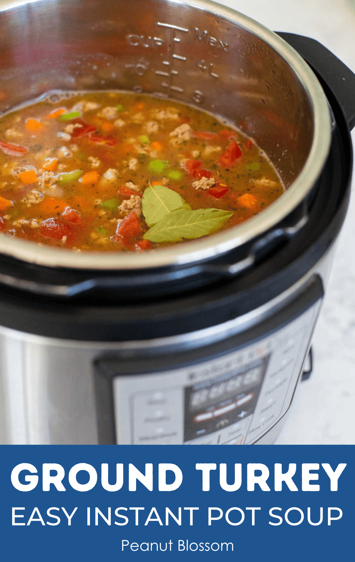 The finished soup is ready to be served straight out of the Instant Pot.