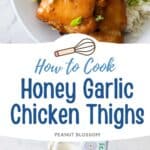 The chicken thighs are on a plate with a side of rice and sprinkled with green onions.