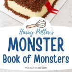 The photo collage shows the Harry Potter Monster cake next to a photo that shows the cake pans used to bake it.