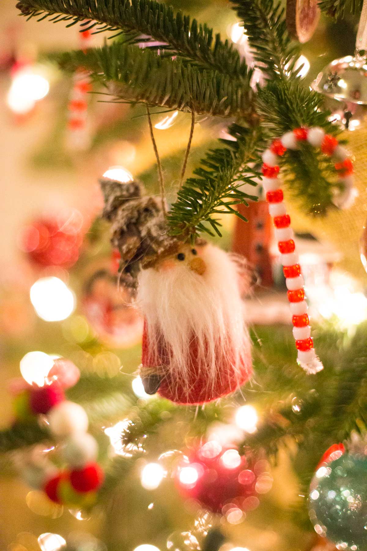 A gnome ornament is hanging on a branch of a Christmas tree.