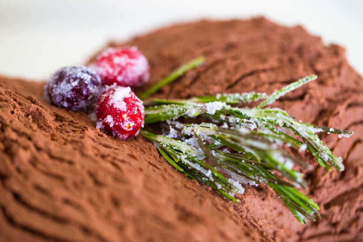 A closeup detail shot of the sugared cranberries and frosted rosemary sprigs used to decorate the yule log.