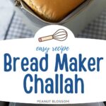 A loaf of challah bread has just been baked in a bread machine pan.