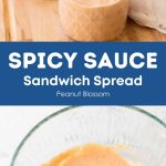 A photo collage shows the spicy sauce in a mixing bowl and on a sandwich prep board.