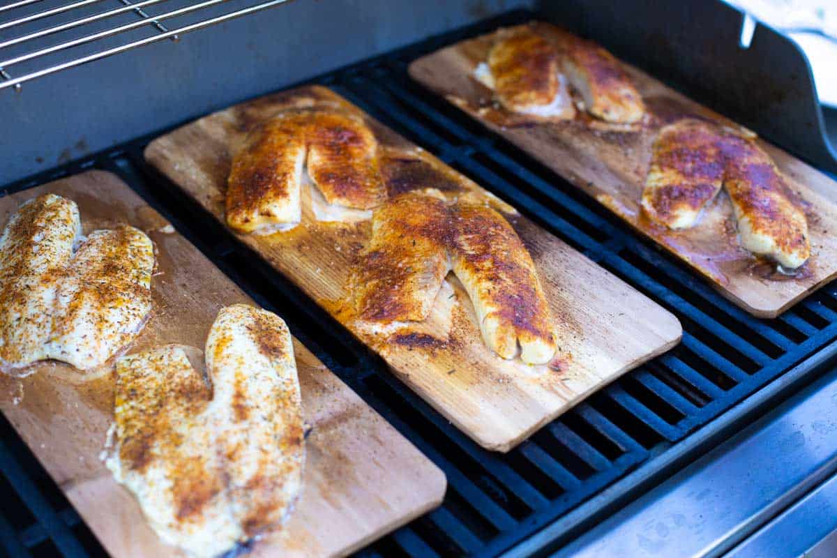 The cedar planks have been transferred to the grill to cook.