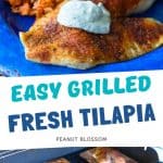 The grilled tilapia is on a blue plate next to a cob of corn.