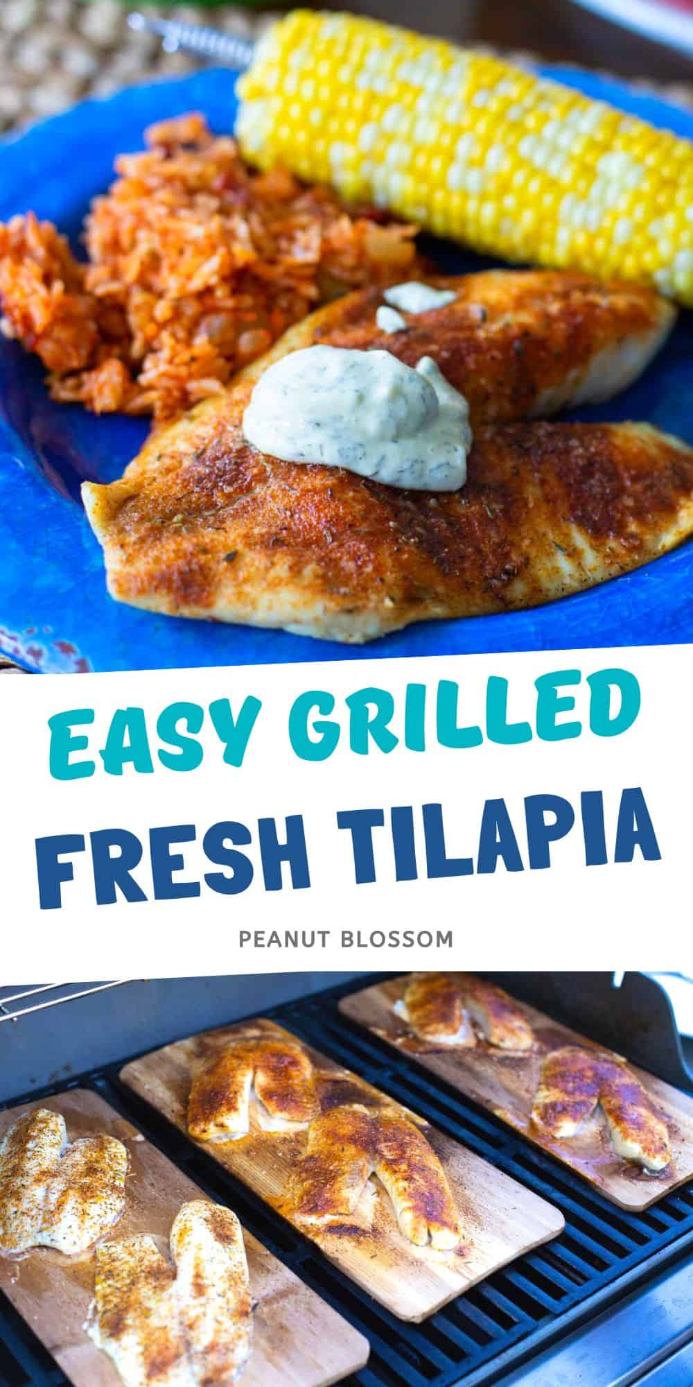 A photo collage shows the grilled tilapia next to the tilapia on the grill planks.