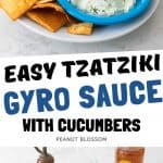 A photo collage shows the finished tzatziki next to a picture of the ingredients.