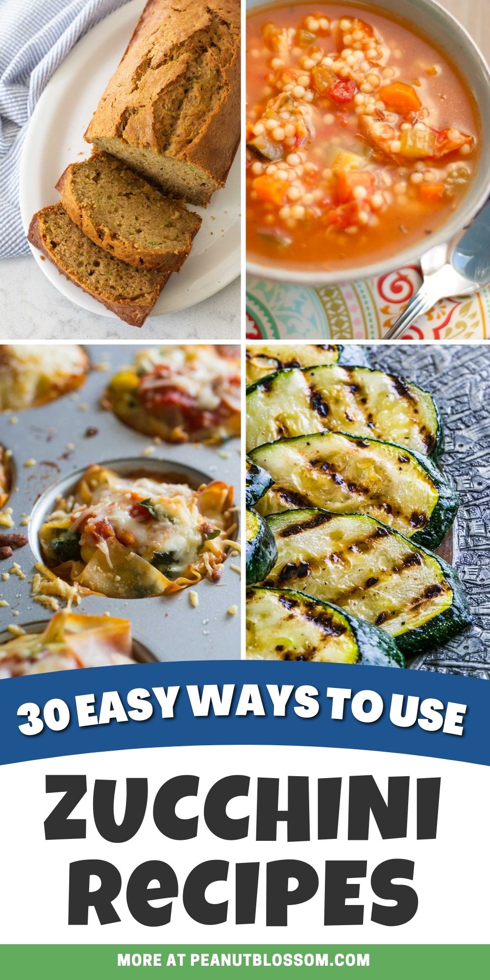 A photo collage shows several of the best zucchini recipes.