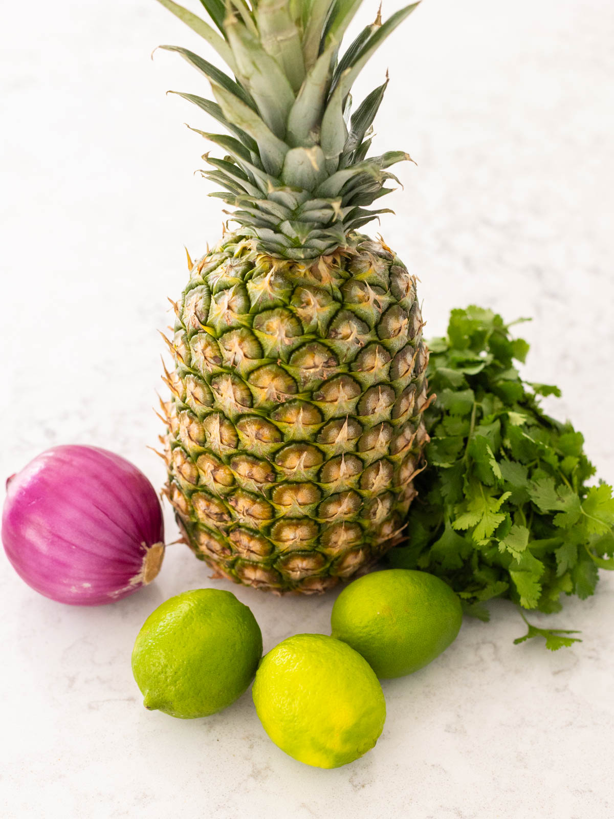 The fresh pineapple, limes, red onion, and cilantro are on the counter.