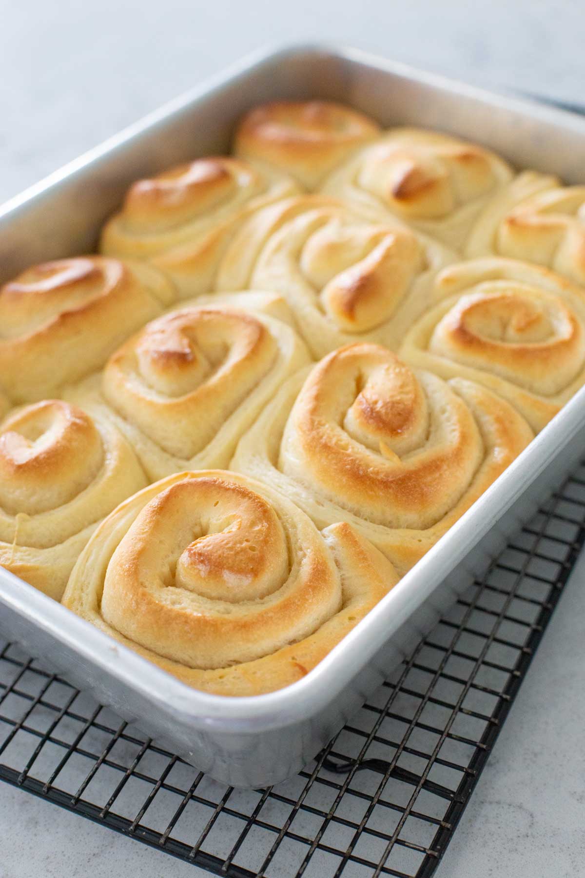 The baking pan is filled with golden brown orange rolls ready for icing.