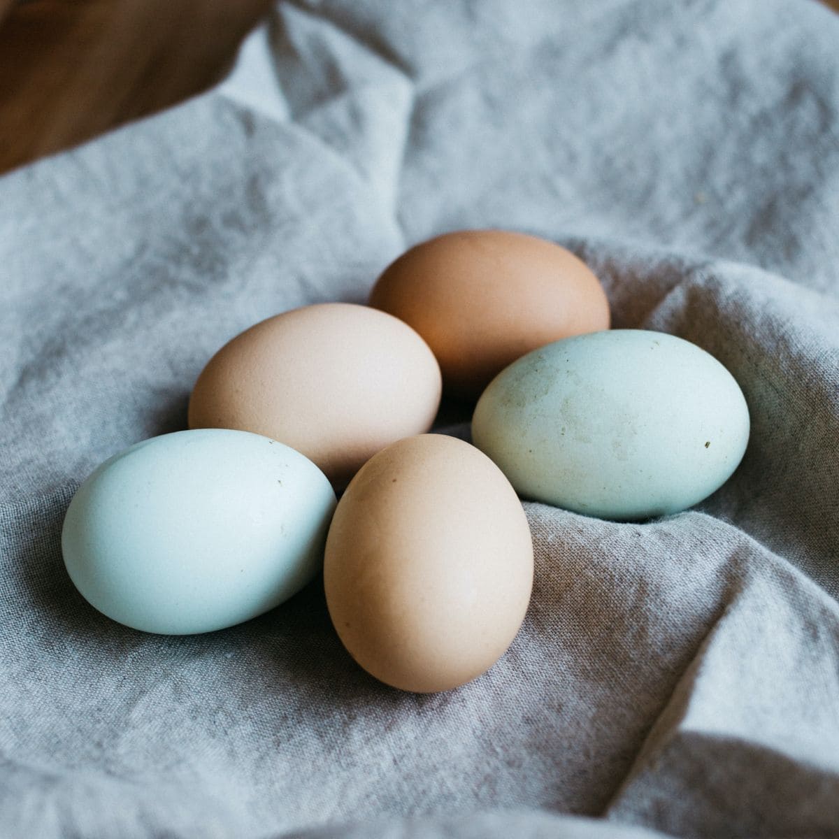 Eggs on a towel.