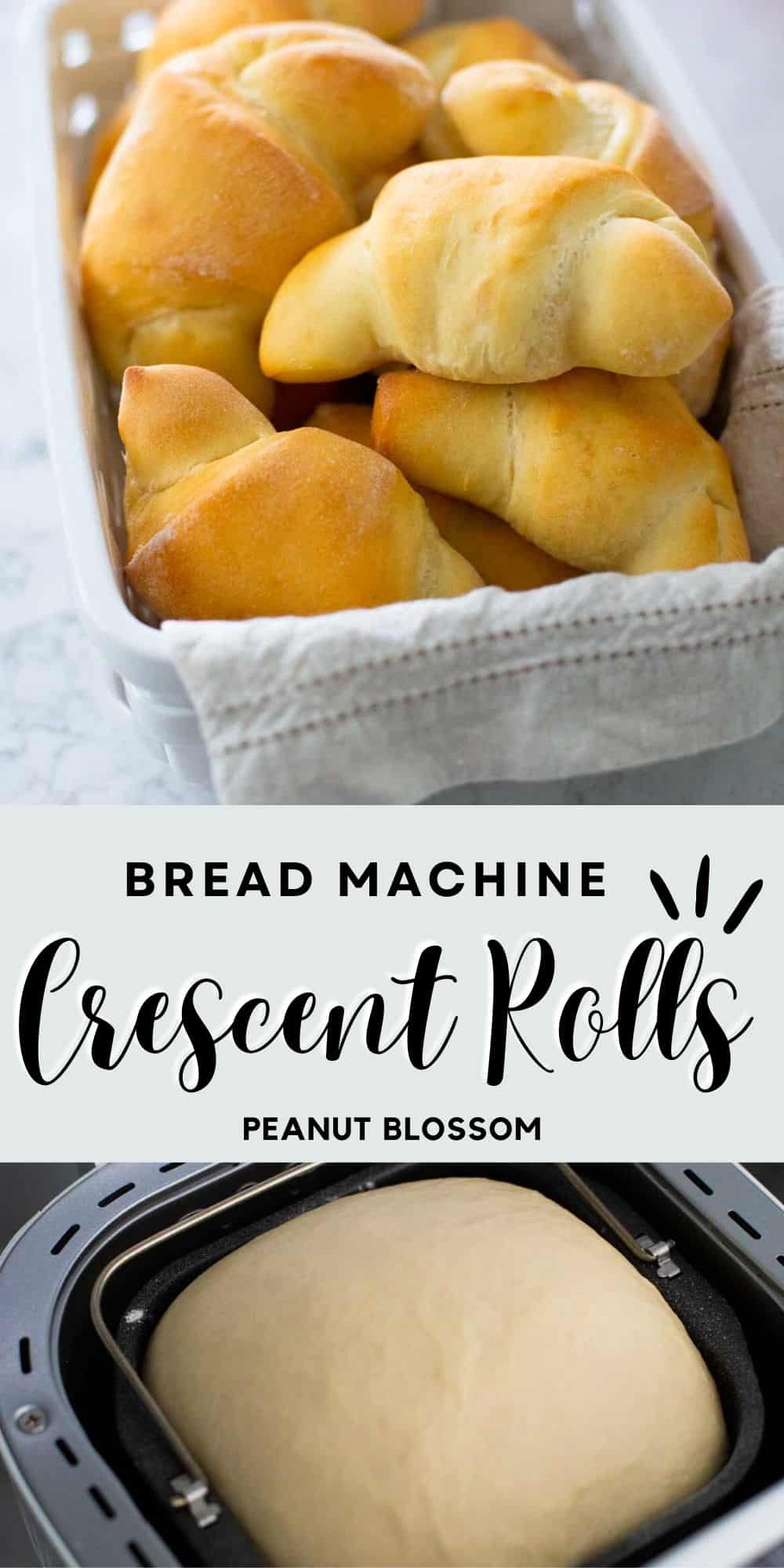 Crescent rolls on top with the crescent roll dough in the bread machine on bottom. 