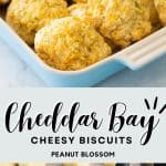 A photo collage shows the baked biscuits in a blue dish on top, a baking sheet of them being brushed with melted butter on the bottom.