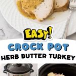 The sliced turkey with gravy on a plate, the crockpot and ingredients below.