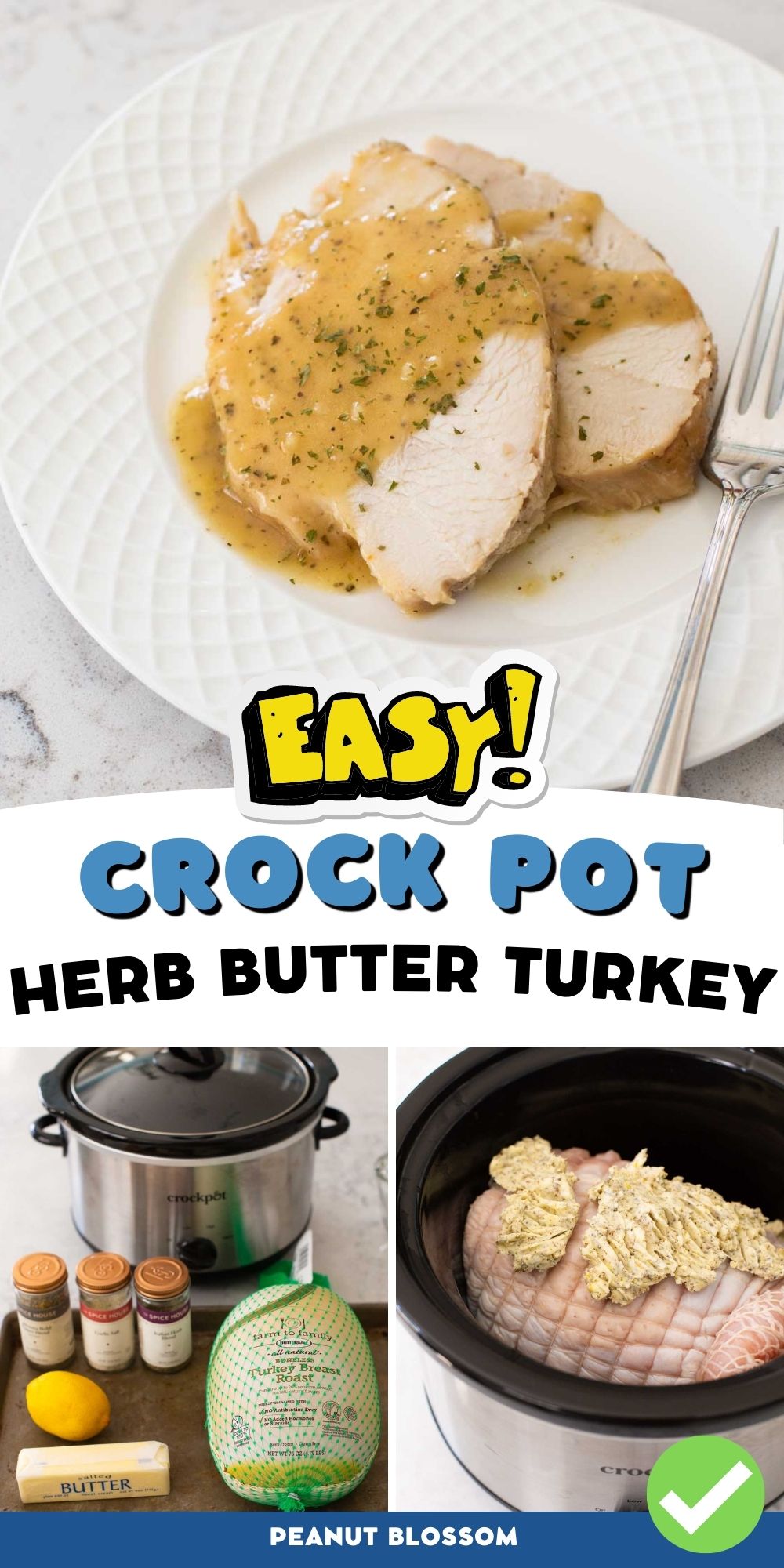 The sliced turkey with gravy on a plate, the crockpot and ingredients below.