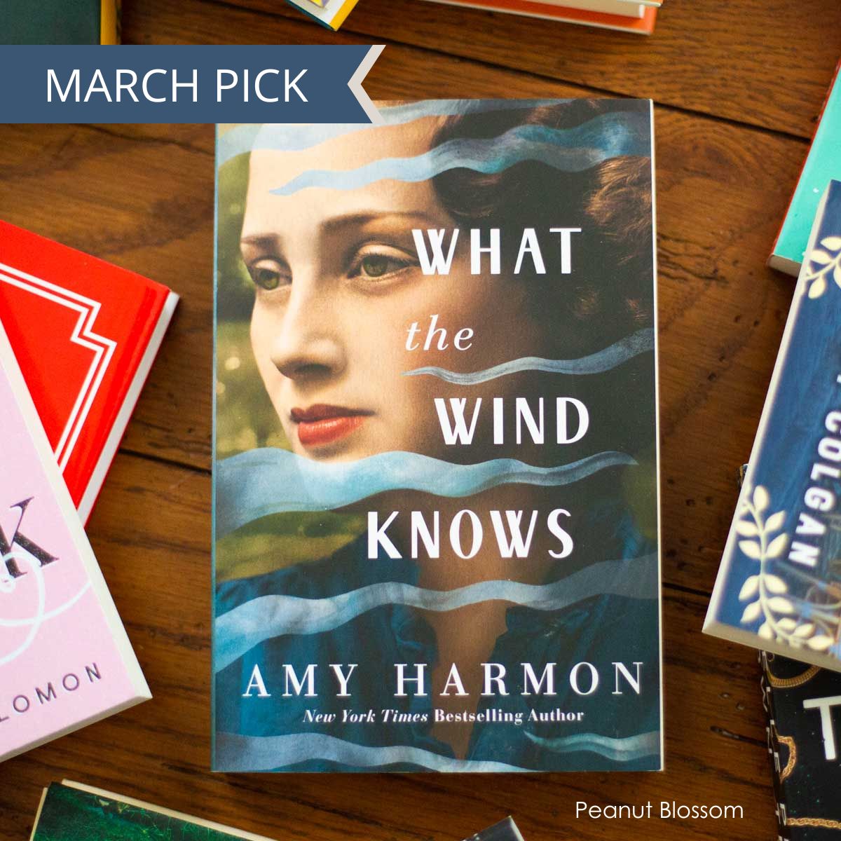 A cover of the book What the Wind Knows by Amy Harmon