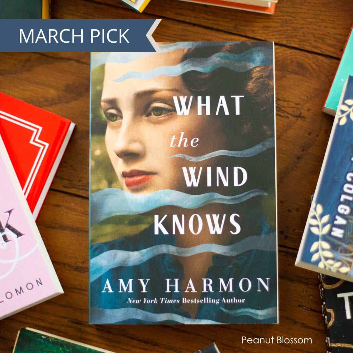 amy harmon what the wind knows