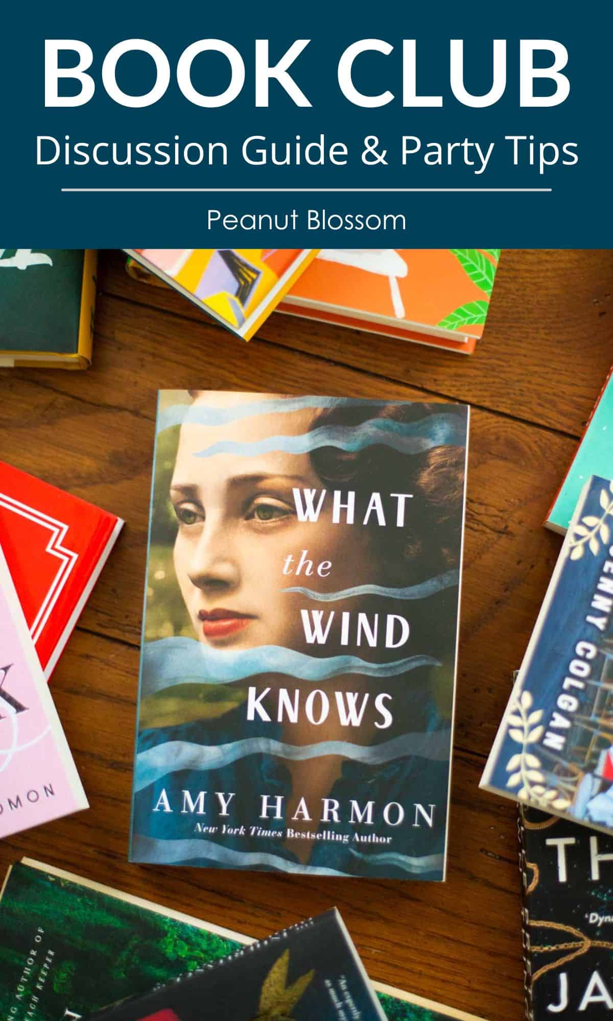 amy harmon what the wind knows amy harmon what the wind knows