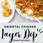 A plate of layered Asian dip is served next to butter crackers.