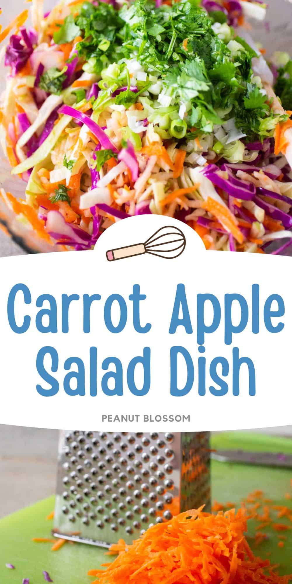 The photo collage shows the shredded carrot and apple salad on top and a carrot being grated by a box grater below.