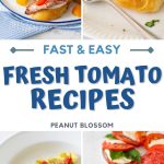 A photo collage shows 4 delicious tomato recipes.